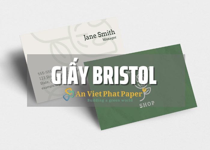 Khái niệm giấy bristol và công dụng 