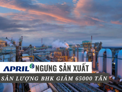April ngừng sản xuất làm giảm sản lượng BHK xuống 65.000 tấn