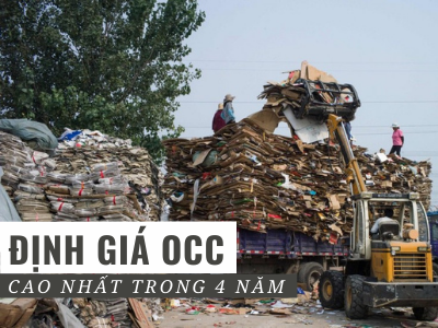 OCC tăng 104 USD kể từ tháng 7 do nhu cầu tăng cao (Phần 2)