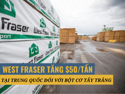 West Fraser thông báo bột cơ tẩy trắng (BCTMP) tăng $50/tấn tại Trung Quốc