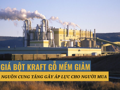 Bột Kraft gỗ mềm giảm do tăng nguồn cung