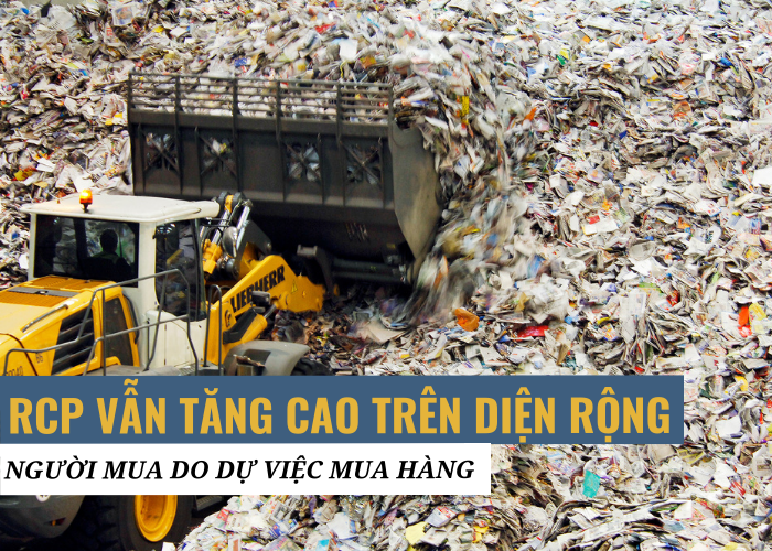 Nguyên liệu giấy thu hồi RCP tăng cao người mua hàng do dự việc mua hàng
