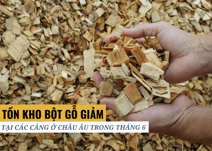Tình hình tồn kho bột gỗ tại các cảng ở Châu Âu giảm