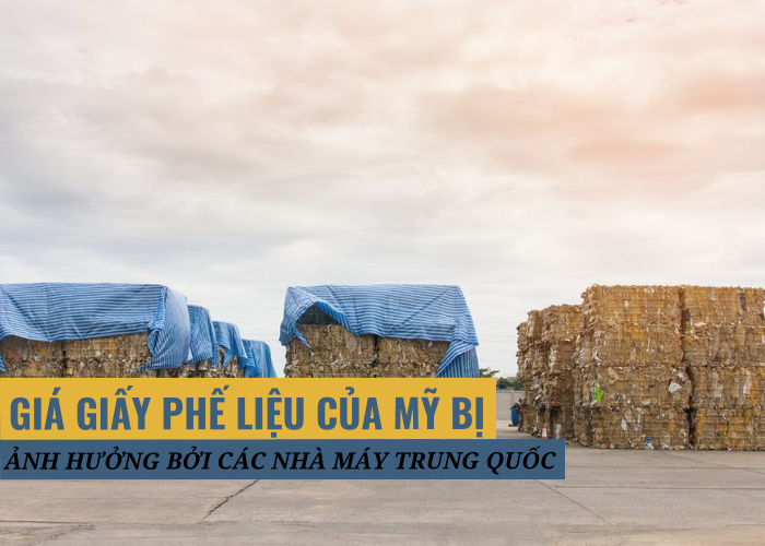 OCC ở Đông Nam Á tăng giá do tác động của các nhà máy ở Trung Quốc
