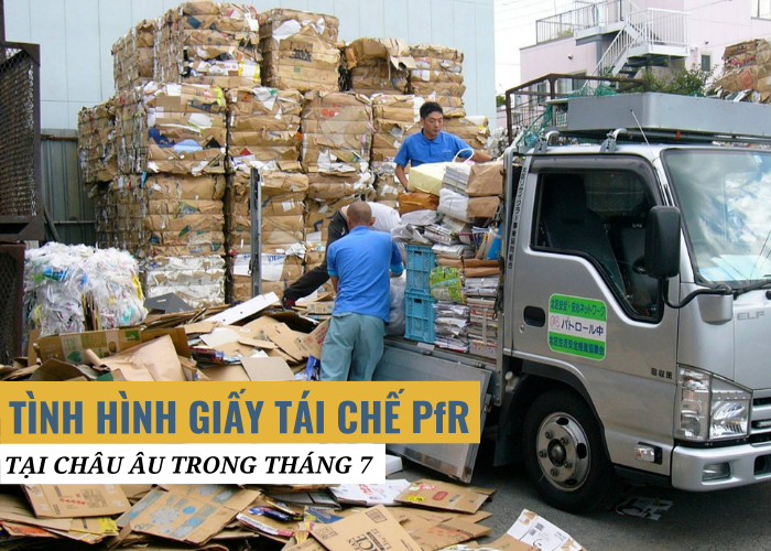 Giá giấy tái chế vẫn ở mức cao trên khắp Châu Âu trong tháng 7