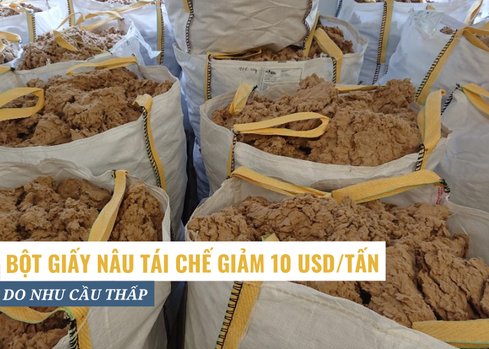 Bột giấy nâu tái chế giảm giá khách hàng lo ngại về chất lượng giấy ở Ấn Độ