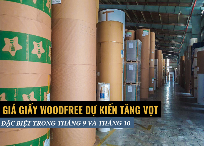 Tổng quan tình hình tăng giá giấy Woodfree