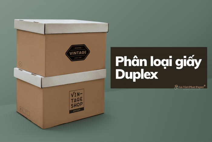 Giấy Duplex là gì? Nên mua giấy Duplex giá rẻ ở đâu?