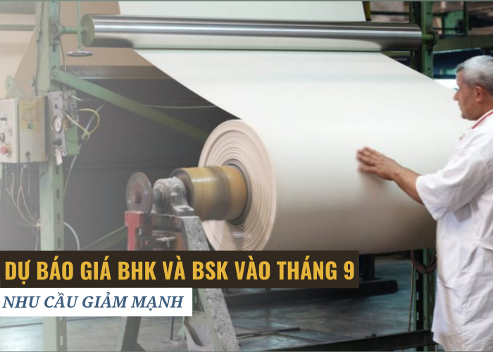 Giá BHK giảm mạnh, BSK bị cản trở bởi nguồn cung khan hiếm
