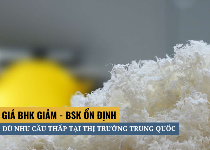 Giá bột giấy BSK hầu hết vẫn ổn định mặc dù nhu cầu thấp ở thị trường Trung Quốc