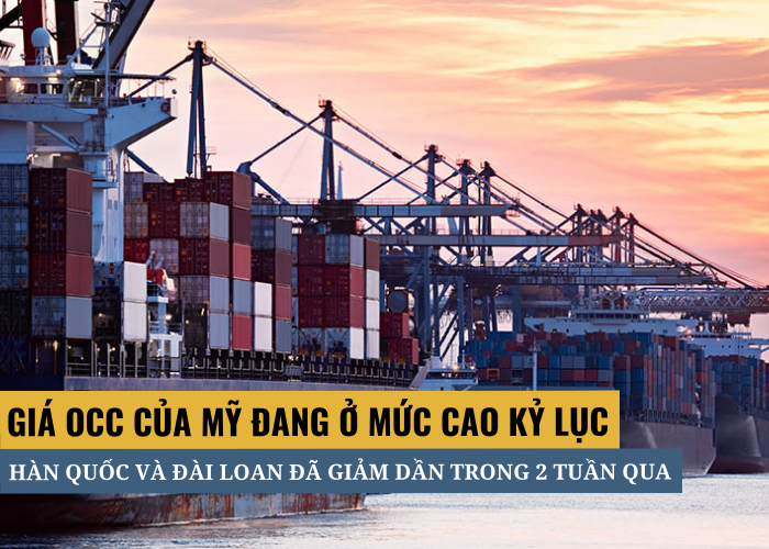 OCC của Mỹ được ghi nhận ở mức cao kỷ lục là 350 USD/tấn tại Đông Nam Á