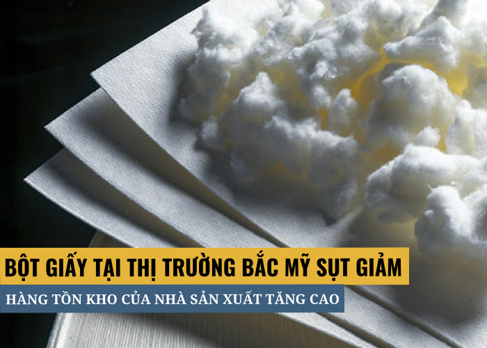 Thị trường bột giấy thế giới tháng 8/2021