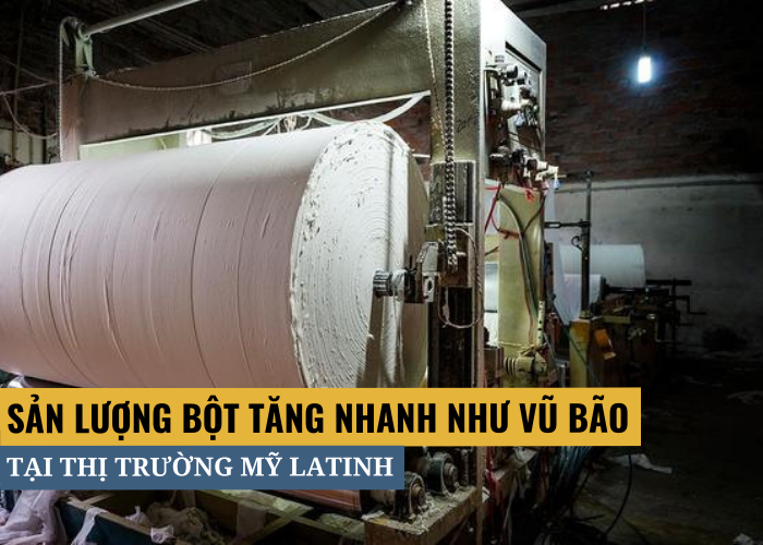 Sản lượng bột giấy tăng nhanh tại thị trường Mỹ Latinh