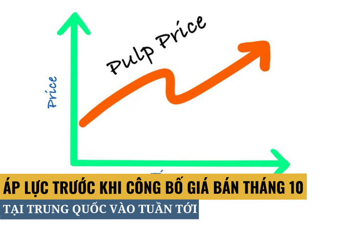 Tình hình giá bột giấy Tháng 10 tại Trung Quốc