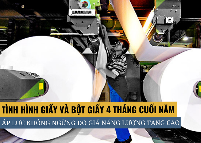 Chi phí năng lượng và chi phí vận chuyển tăng cao tác động đến ngành Công Nghiệp Giấy
