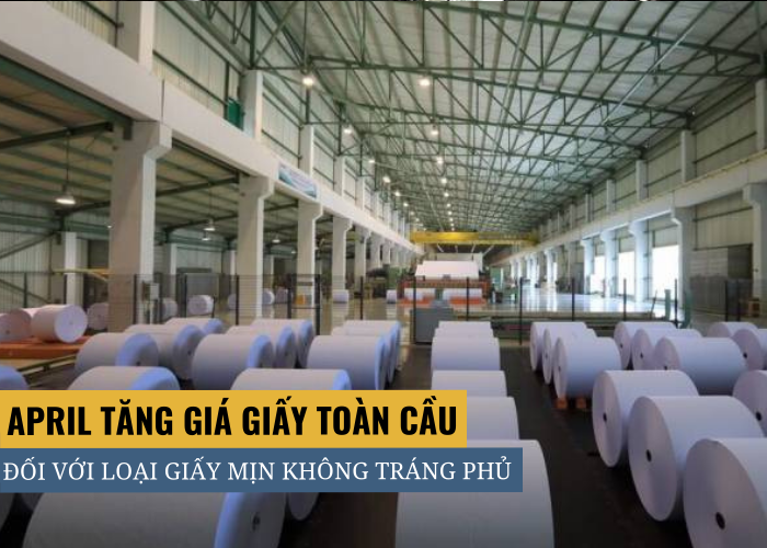APRIL thông báo tăng giá toàn cầu đối với loại giấy mịn không tráng phủ áp dụng từ tháng 10