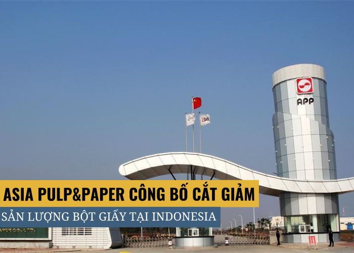 APP công bố cắt giảm sản lượng bột giấy tại Indonesia