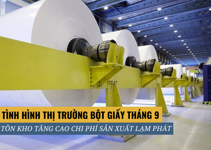 Tình hình thị trường bột giấy tháng 9