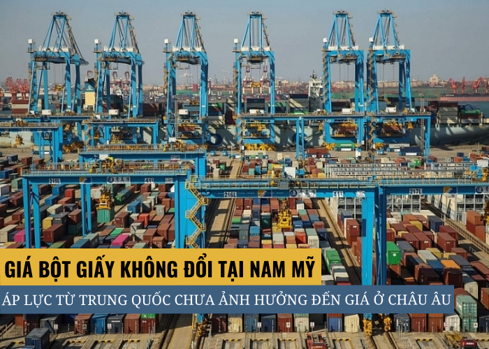 Tình hình thị trường tại Nam Mỹ áp lực từ Trung Quốc chưa ảnh hưởng đến giá bột giấy
