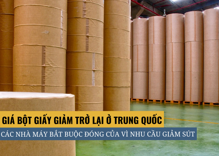 Giá bột giấy tại Trung Quốc giảm nhà máy đóng cửa vì nhu cầu yếu