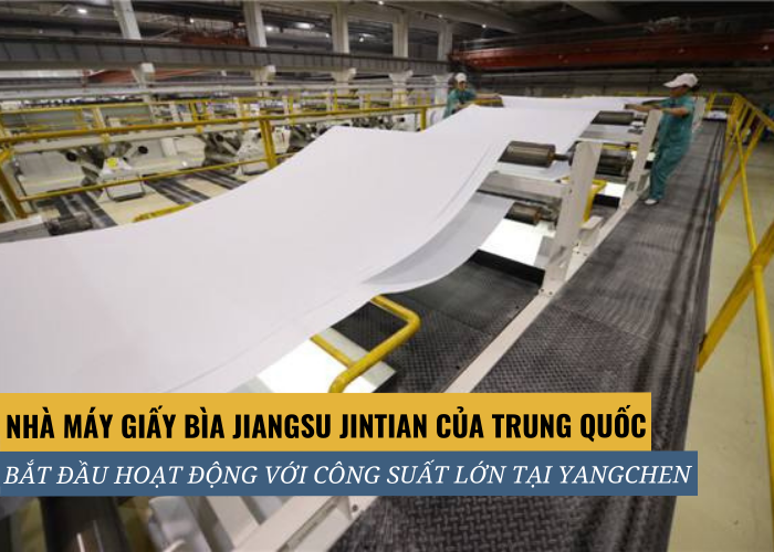 Trung Quốc cho hoạt động nhà máy giấy bìa tại Yangchen