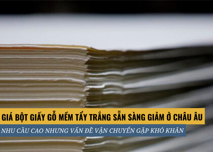 Giá bột giấy gỗ mềm tẩy trắng giảm ở Châu Âu