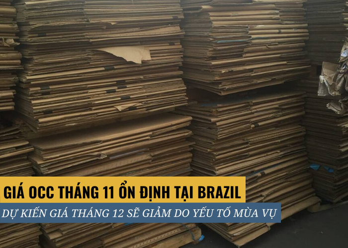 Giá OCC ổn định trong tháng 11
