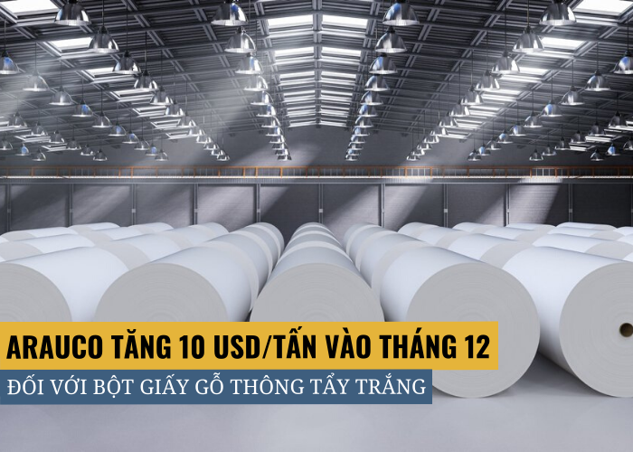 Arauco tăng giá bột giấy trên thị trường Trung Quốc tháng 12