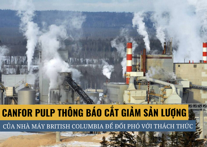 Canfor Pulp thông báo cắt giảm sản lượng nhà máy ở British Columbia