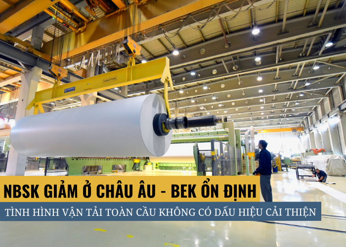 Tình hình bột giấy tại Châu Âu tháng 12