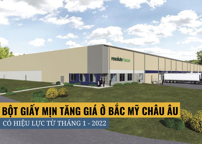 Bột giấy mịn tăng giá ở Bắc Mỹ và Châu Âu