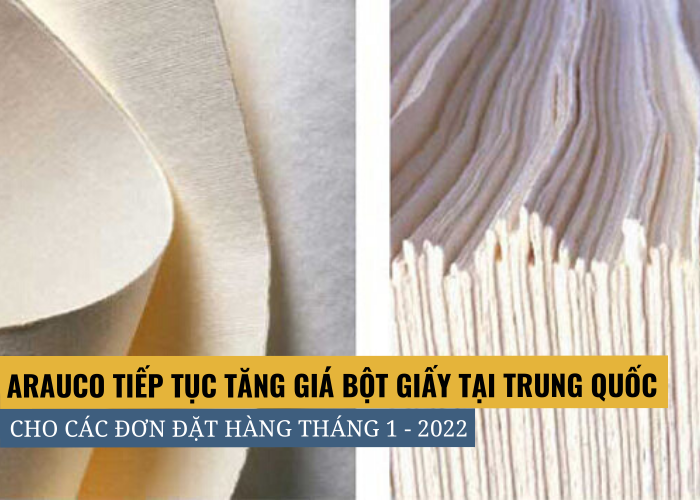 Arauco tiếp tục tăng giá bột giấy tại thị trường Trung Quốc