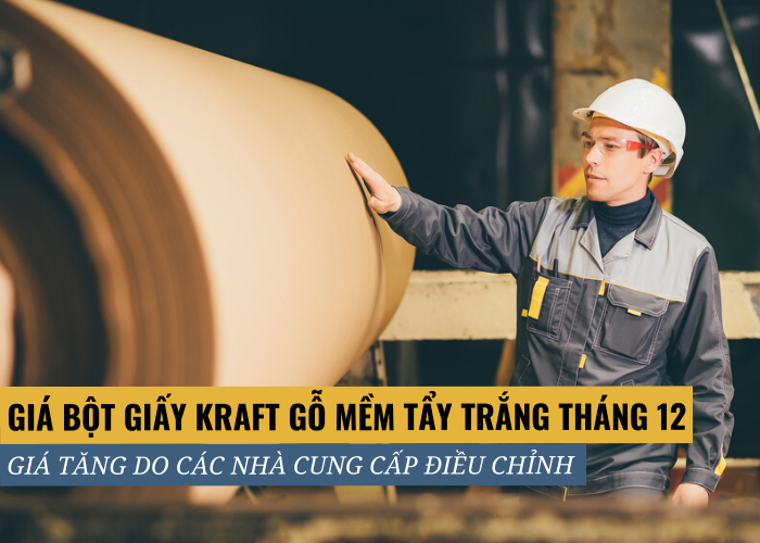 Giá bột giấy gỗ mềm tẩy trắng tháng 12