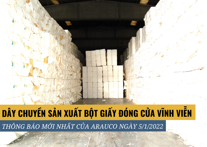 Thông báo mới nhất của Arauco về việc đóng cửa vĩnh viễn dây chuyền sản xuất bột giấy sau 50 năm hoạt động