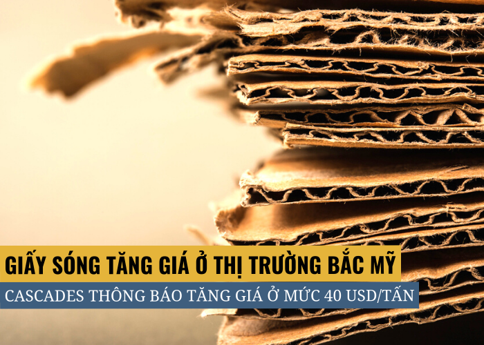 Giấy sóng tăng giá 40 USD tại thị trường Bắc Mỹ