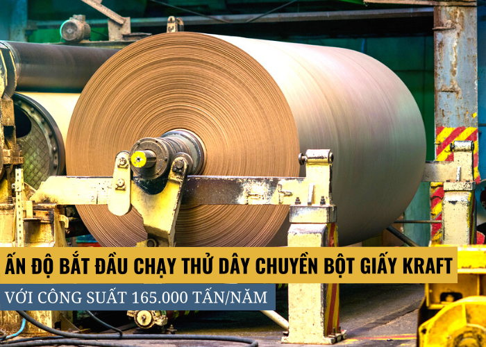 Ấn Độ mở rộng dây chuyền sản xuất bột giấy kraft