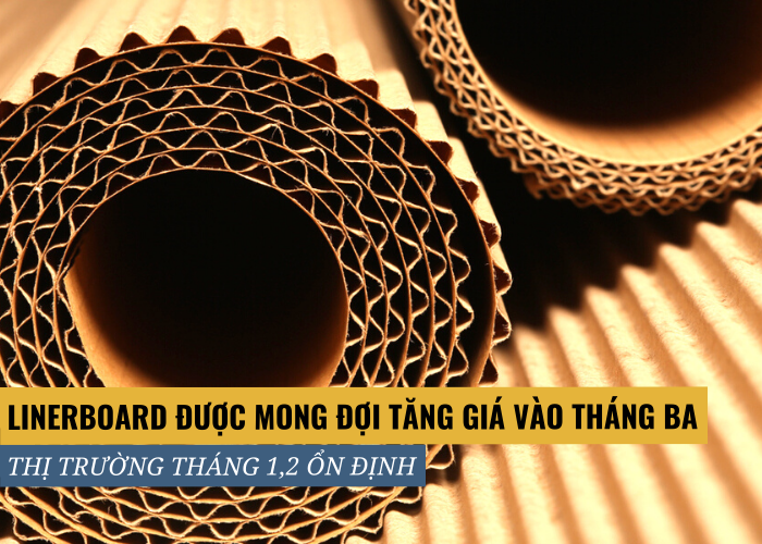 Linerboard được kỳ vọng sẽ tăng giá vào tháng Ba