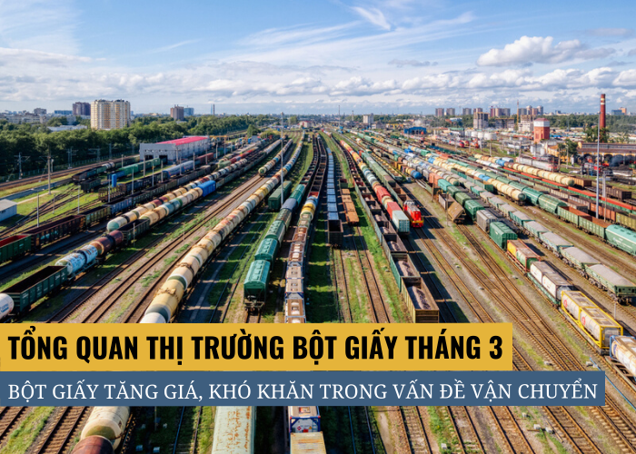 Tổng kết thị trường bột giấy tháng 3/2022