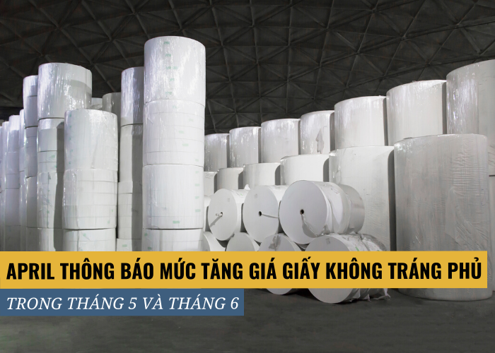 APRIL tăng 100 USD mỗi tấn đối với mặt hàng giấy không tráng phủ trong tháng 5 và tháng 6