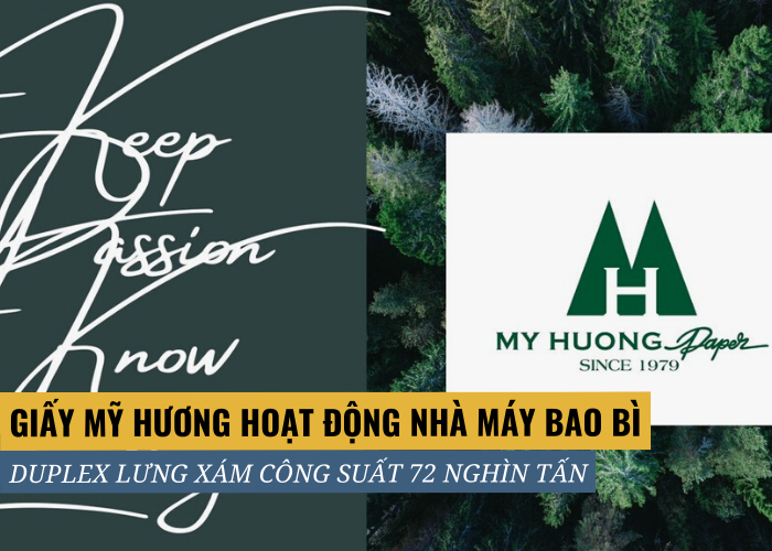 Giấy Mỹ Hương bắt đầu hoạt động nhà máy bao bì Duplex tráng phủ lưng xám 72.000 tấn tại Việt Nam