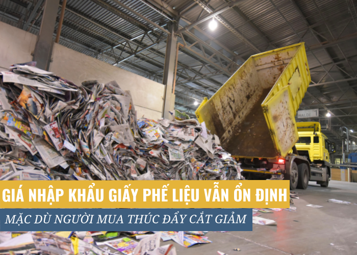 Giá nhập khẩu giấy phế liệu (RCP) vẫn ổn định