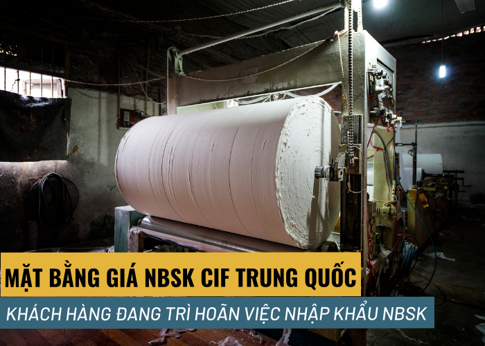 Mặt bằng giá: NBSK CIF Trung Quốc