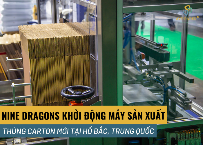 Nine Dragons khởi động máy sản xuất thùng carton tại nhà máy mới ở Hồ Bắc Trung Quốc