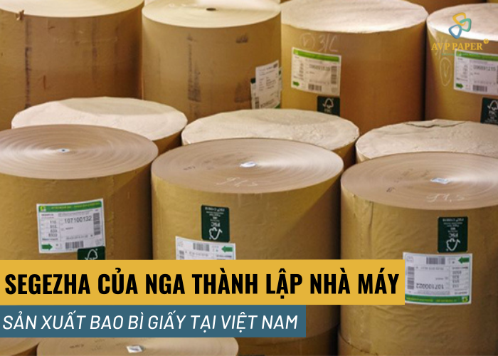 Segezha của Nga xem xét thành lập nhà máy sản xuất bao bì giấy tại Việt Nam