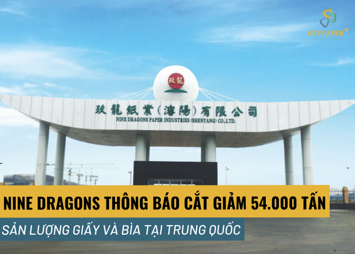 Nine Dragons thông báo kế hoạch cắt giảm thêm 54,000 tấn sản lượng giấy và bìa tại Trung Quốc