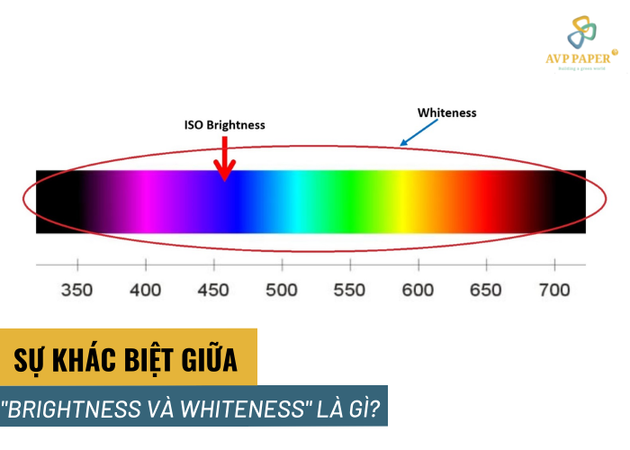 SỰ KHÁC BIỆT GIỮA