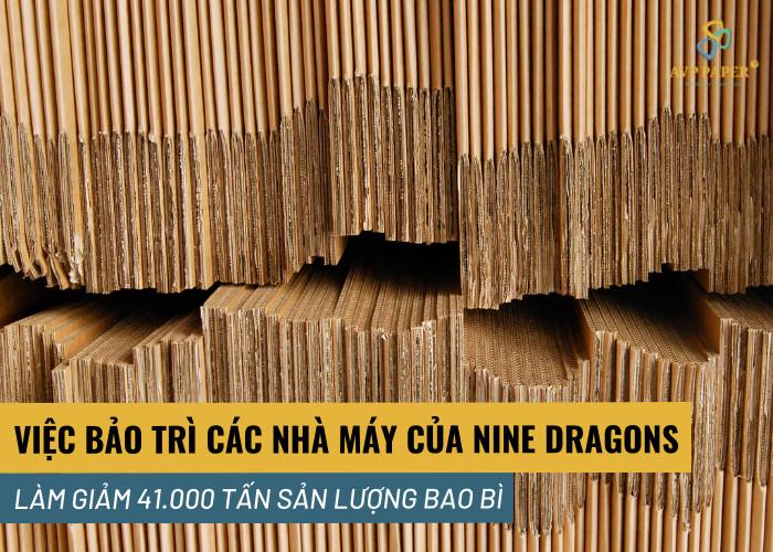 VIỆC BẢO TRÌ TẠI CÁC NHÀ MÁY PHÚC KIẾN, THIÊN TÂN CỦA NINE DRAGONS LÀM GIẢM 41.000 TẤN SẢN LƯỢNG BAO BÌ