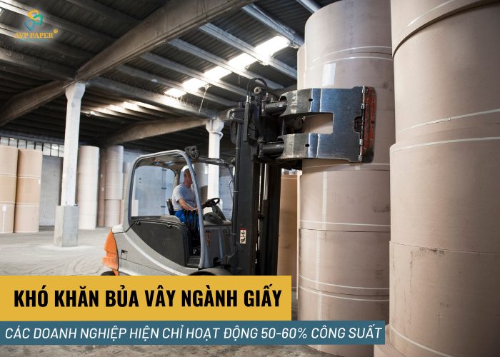 Ngành giấy đang gặp nhiều khó khăn