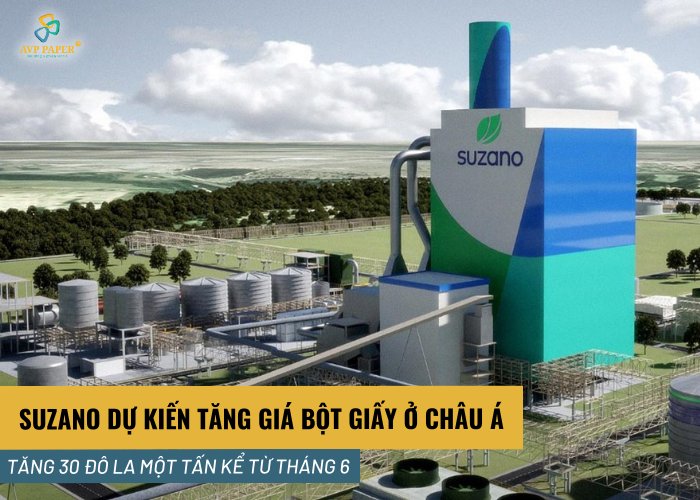 Suzano dự kiến tăng giá $30/tấn đối với bột giấy BEK ở châu Á